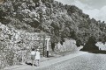 20170517_100516.jpg
