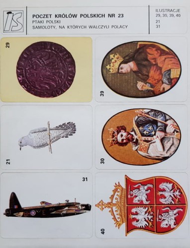 20200726_155328 - 1.jpg