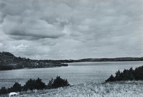 20170913_082107.jpg