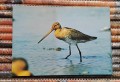 20170205_140754.jpg