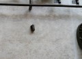 20180619_145903.jpg