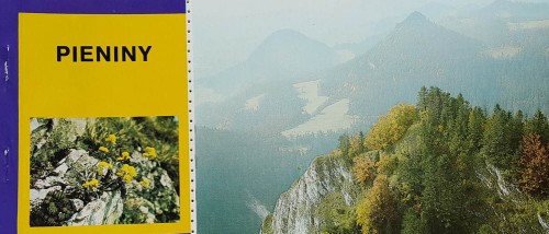 20170914_160506.jpg