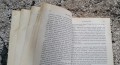 20190316_140323.jpg