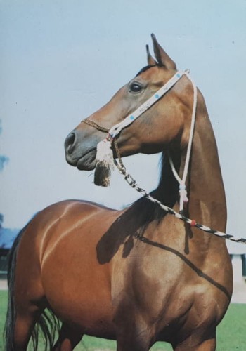 20190407_113251.jpg