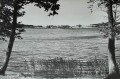 e61ae2c00b3405b116fc62d44f9932d8.jpg