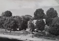 20190724_155346.jpg