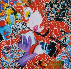 Anja Garbarek - Briefly Shaking - cd