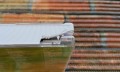 20180503_071622.jpg