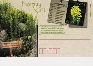 Cp 1691 - Endemity Polski