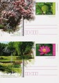 IMG_20200318_0025 - 1-tile.jpg