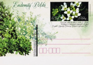 Cp 1728 - Endemity Polski