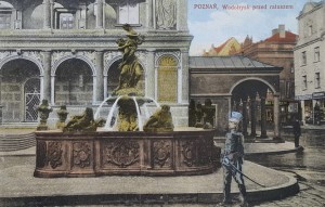 Pocztówka Poznań - Posen - Wodotrysk przed ratuszem