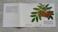 20200627_134437.jpg