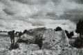 20170613_151804.jpg