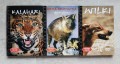 20200906_180157.jpg