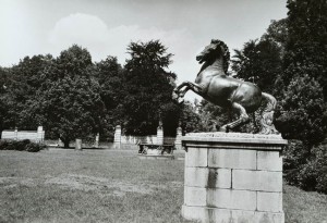 Pocztówka Milicz - Fragment parku pałacowego - fot. J. Korpal