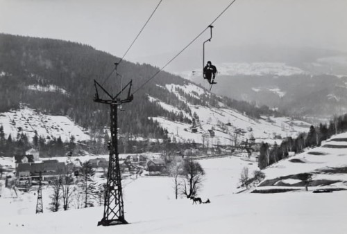 20201224_122042.jpg