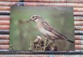 20170205_140421.jpg