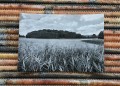 20170913_082334.jpg