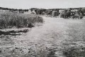 20180216_125950.jpg