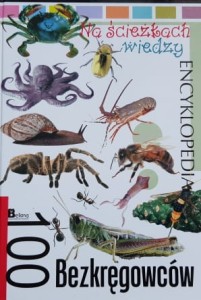Na ścieżka wiedzy - encyklopedia - 100 Bezkręgowców