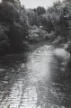 20210727_164552.jpg