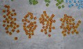20220105_150730.jpg