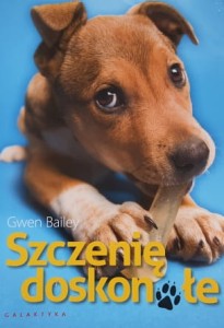 Bailey - Szczenię doskonałe