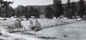 Pocztówka Lesko - Camping Bieszczady - fot. M. Petruszka