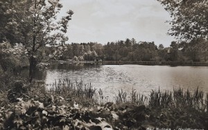 Pocztówka Kudowa Zdrój -  Bad Kudowa - Hammerteich