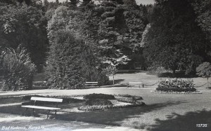 Pocztówka Kudowa Zdrój - Bad Kudowa - Kurpark