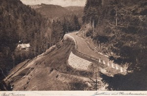 Pocztówka Kudowa Zdrój - Bad Kudowa - Forsthaus mit Heuscheuerstrasse