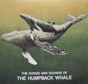 The Songs and Sounds of the Humpback Whale - CD
