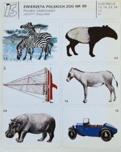 IS Ilustracje Samoprzylepne - Zwierzęta polskich Zoo nr 099 - naklejki