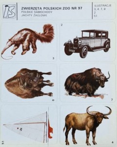 IS Ilustracje Samoprzylepne - Zwierzęta polskich Zoo nr 097 - naklejki
