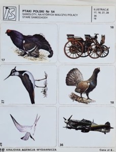 IS Ilustracje Samoprzylepne - Ptaki Polski nr 054 - naklejki