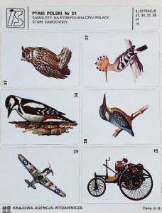 IS Ilustracje Samoprzylepne - Ptaki Polski nr 051 - naklejki