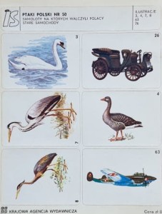 IS Ilustracje Samoprzylepne - Ptaki Polski nr 050 - naklejki