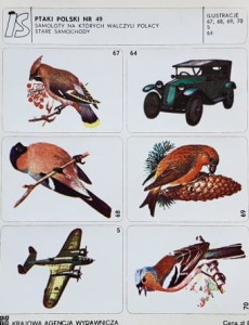 IS Ilustracje Samoprzylepne - Ptaki Polski nr 049 - naklejki