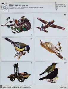 IS Ilustracje Samoprzylepne - Ptaki Polski nr 048 - naklejki