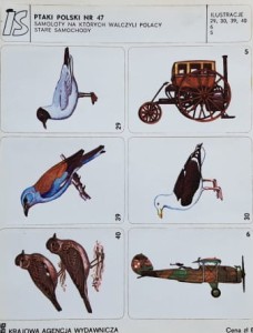 IS Ilustracje Samoprzylepne - Ptaki Polski nr 047 - naklejki