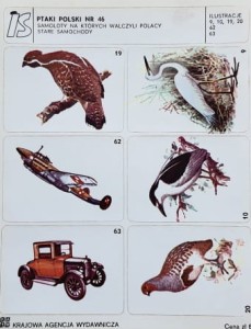 IS Ilustracje Samoprzylepne - Ptaki Polski nr 046 - naklejki