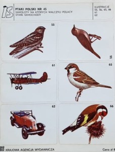 IS Ilustracje Samoprzylepne - Ptaki Polski nr 045 - naklejki