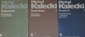 Michał Kalecki - Kapitalizm i Socjalizm tom 1 - 3