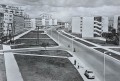 20170926_160118.jpg