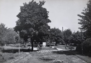 Pocztówka Łabędy - Park - fot. T. Hermańczyk