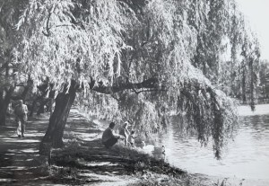 Pocztówka Pruszków - Park miejski - fot. J. Siudecki