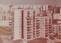20230208_143106.jpg