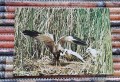 20170205_140713.jpg