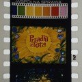 Prządki złota 20230423_182926.jpg